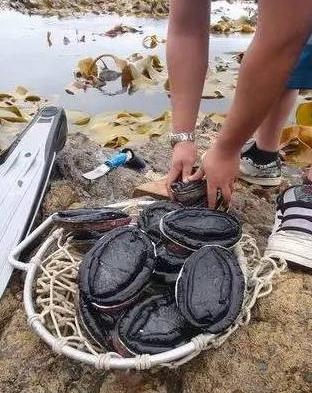 1468773602139303.jpg 360截圖20160718003950035.jpg