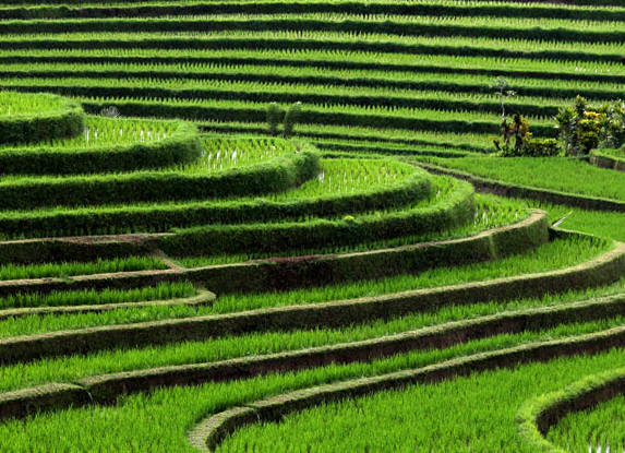 1484188074848834.png blob.png